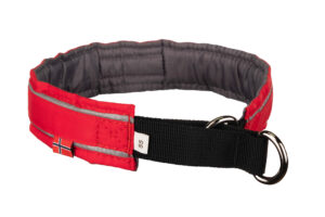 Obroża Active od Non-stop dogwear
