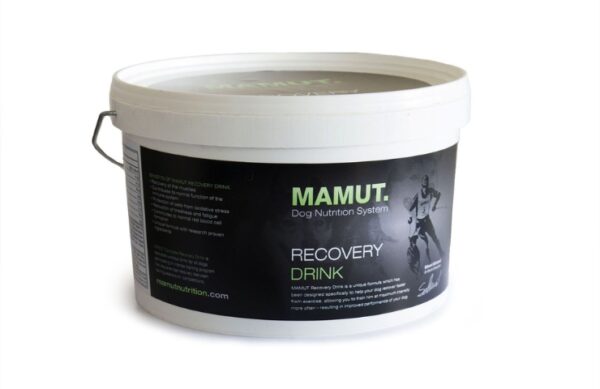 MAMUT Recovery Drink