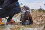 Miska dla psa Trekking